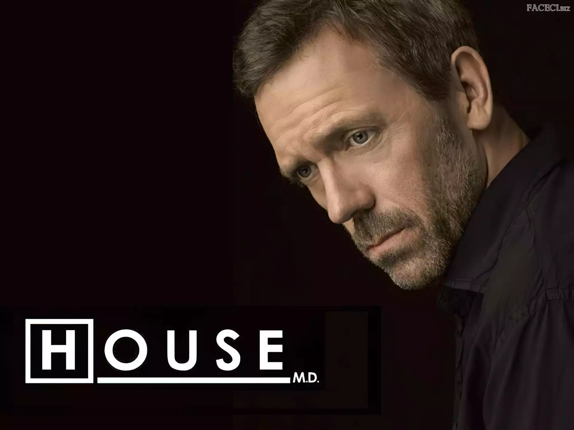 Hugh Laurie, Dr. House
