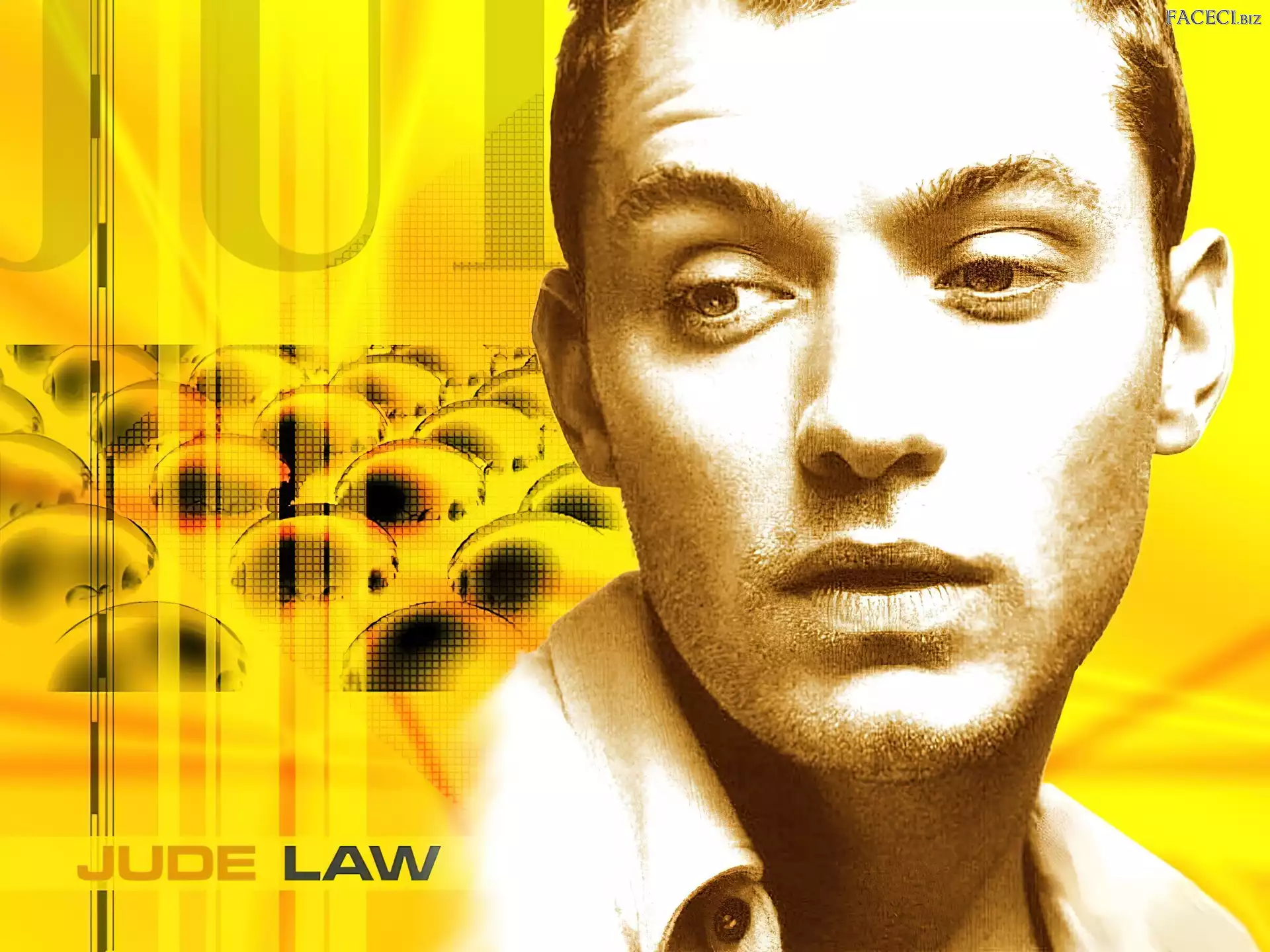 Jude Law, biała koszula